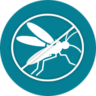 Fumigation Services in Lahore Fumigation Services in Lahore