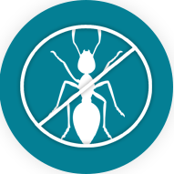 Pest Control Services in Lahore Pest Control Services in Lahore